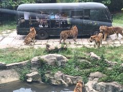 -深圳野生动物园