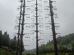 -井冈山风景名胜区