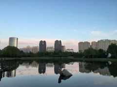 -群力丁香公园