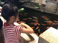 -顺德了能馆(虎门店)