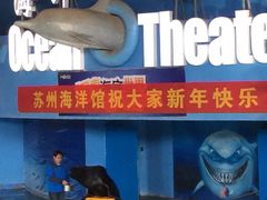 -苏州海洋馆