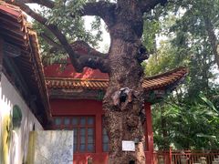 -昆明市金殿名胜区