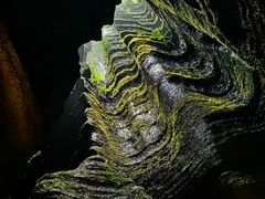 -梭布垭石林景区