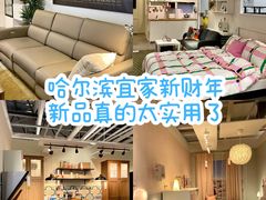 -宜家家居(哈尔滨商场店)