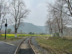 -径山花海