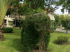 -五世皇金柚木行宫(维护中)