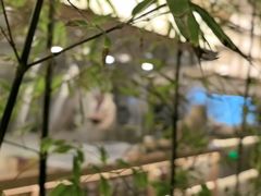 -莺花渡火锅City Green(万象城店)