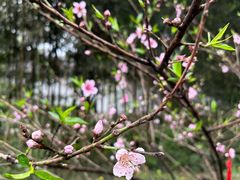 -成都杜甫草堂博物馆