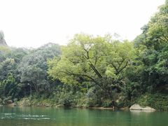 -九曲溪竹筏码头