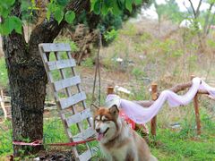 -名花谷生态庄园