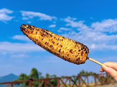 -武陵山森林公园