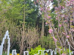-深圳仙湖植物园