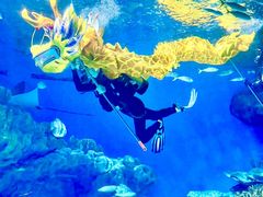 -海合安武汉极地海洋公园