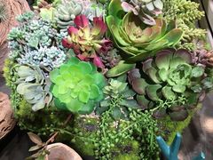 -天源吉布世温泉水乐园