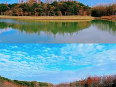 -上海海湾国家森林公园