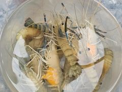 -DGE季风钓虾营地·团建·聚会