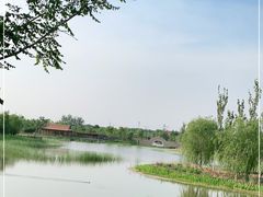 -张家湾公园