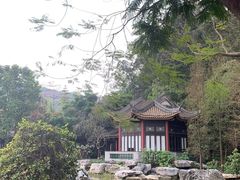 -顺峰山公园