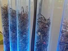 -黑马眼科·近视手术