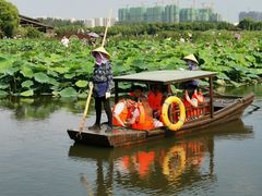 -荷塘月色湿地公园·向阳花洲