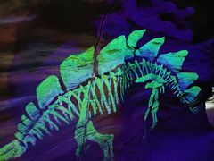 -长春中泰海洋世界