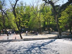 -阳台山自然风景区