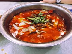 肥肠鱼-龙梅肥肠鱼(明瓦廊店)