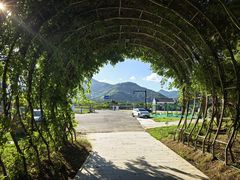 -宁海森林温泉