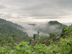 -杨家堂村