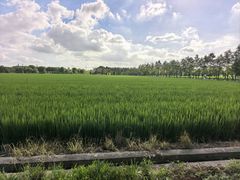 -嘉北郊野公园