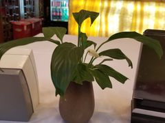 -眉州东坡(亚运村店)