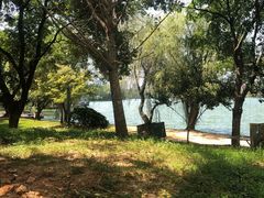 -食膳公园包子铺(烈士公园店)