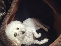 -康乐宝动物医院