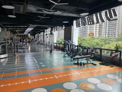 -天行健身＆天行拳馆跆拳道·格斗TXGYM