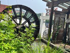 -慢丽江·云南野生菌土鸡锅(付家庄店)