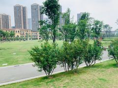 -府河摄影公园