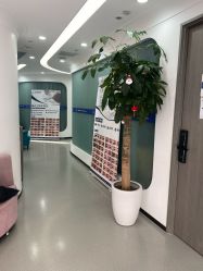 -联合丽格·张菡丽格医疗美容