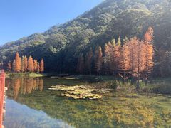 -广州市石门国家森林公园