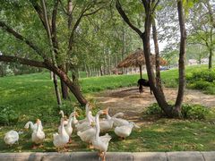 -北京野生动物园