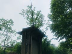 -湘湖金融镇