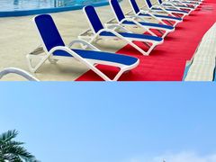 -海合安天津极地海洋公园