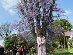 -桃园农庄·桃源宴