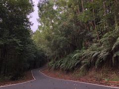 -滴水岩森林公园