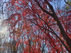 -共青国家森林公园-售票处