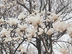 -南山风景名胜区