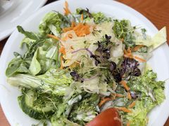 -Restaurant Paulaner am Dom
