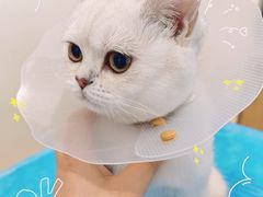 -美迦爱-牙专科·兔科·骨科诊疗中心(北苑店)
