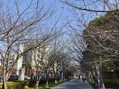 -高东镇樱花园