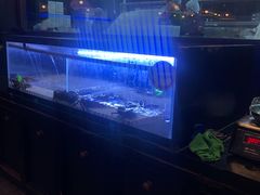 -simply thai天泰(长泰广场店)
