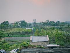 -翠田Green Field Kitchen